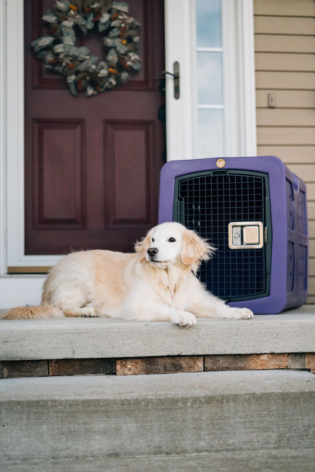Thumbnail 30